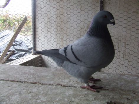 dscf2758.jpg